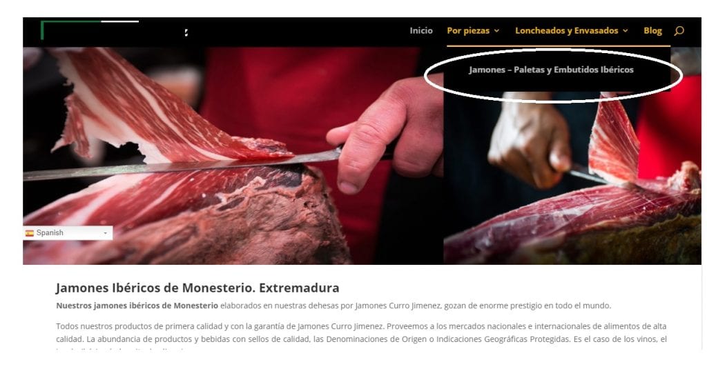 Divi curso submenu