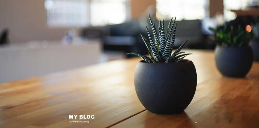 Blog wordpress