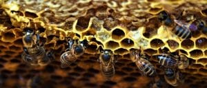 estructura de una web
