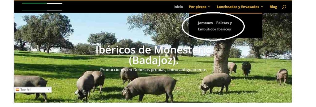 DIVI submenu