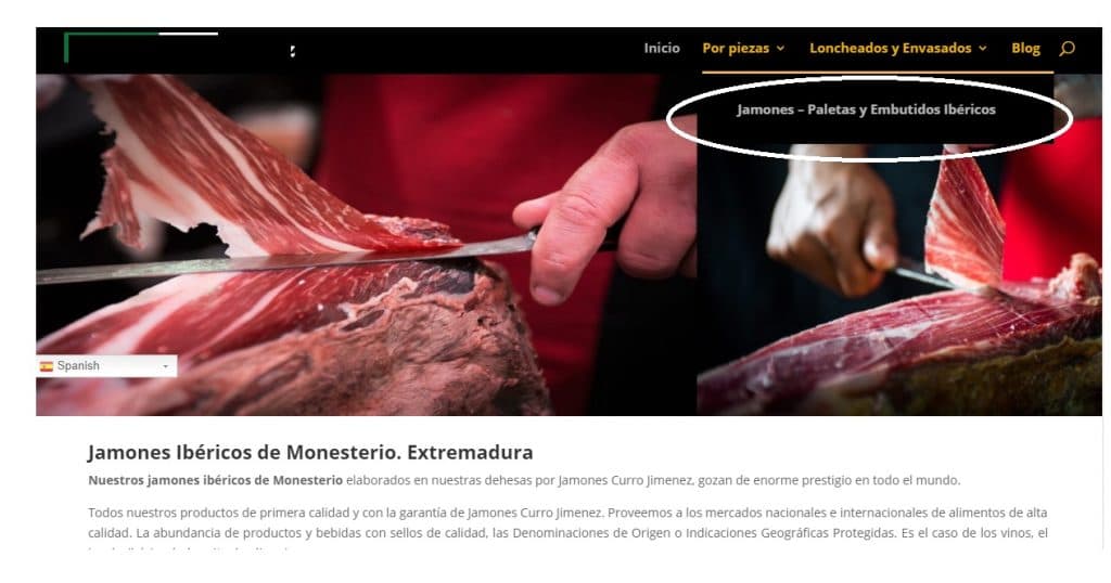 Divi curso submenu