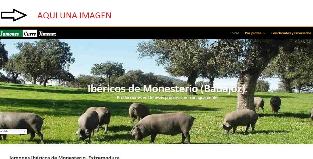Crear imagen encima Menu Divi