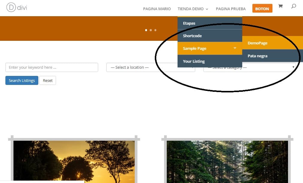 personalizar menu en tema divi