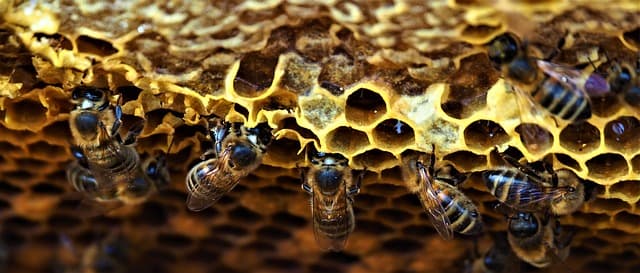 estructura de una web