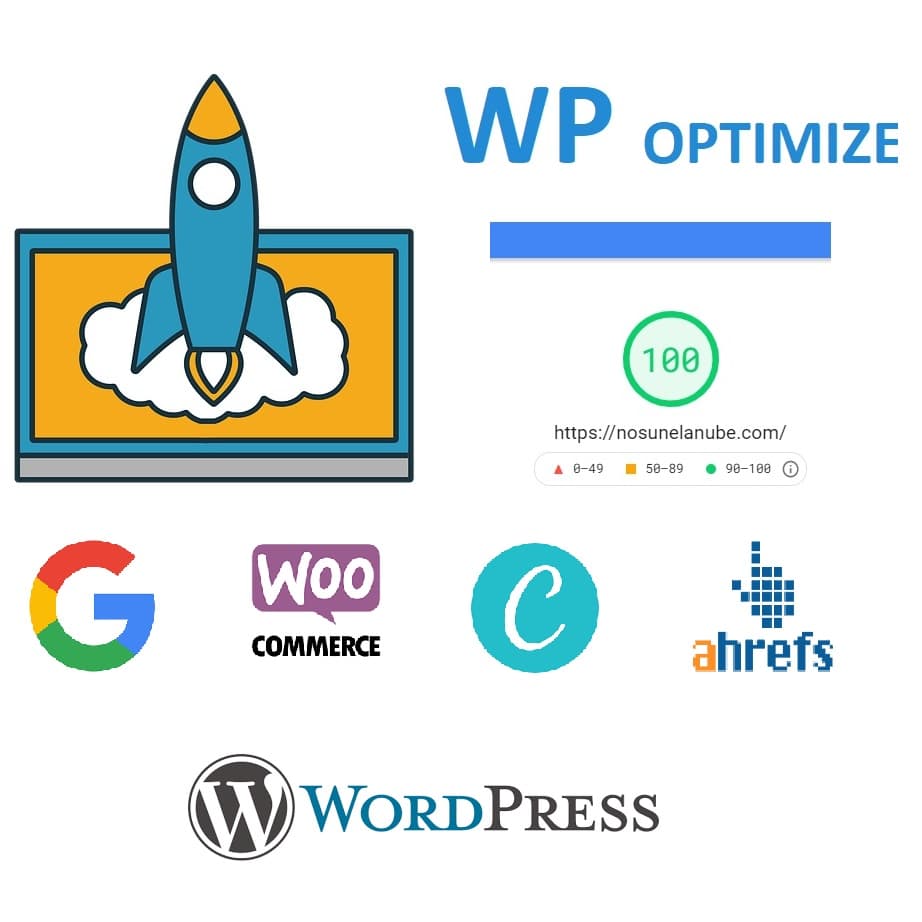 hacer una web y posicionar seo 2