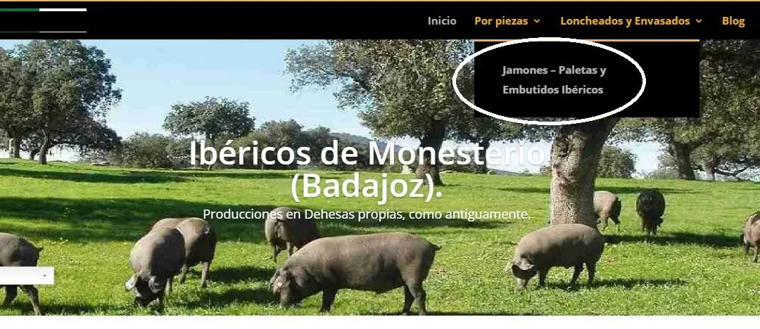 Curso wordpress Divi Submenus