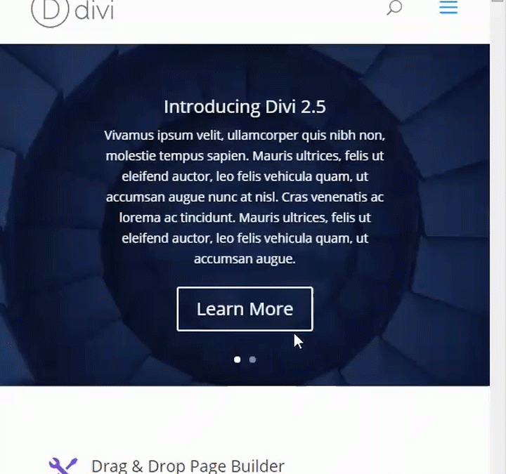 Mejorar la calidad del logo en Divi Theme