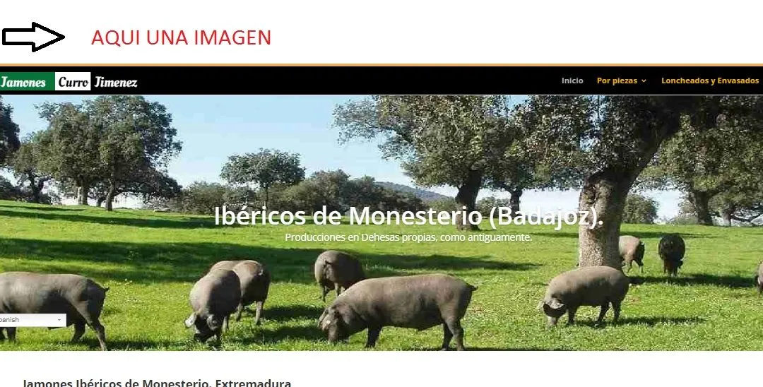 Crear imagen encima Menu Divi