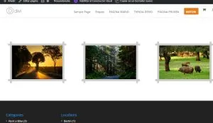 Divi marco en imagen