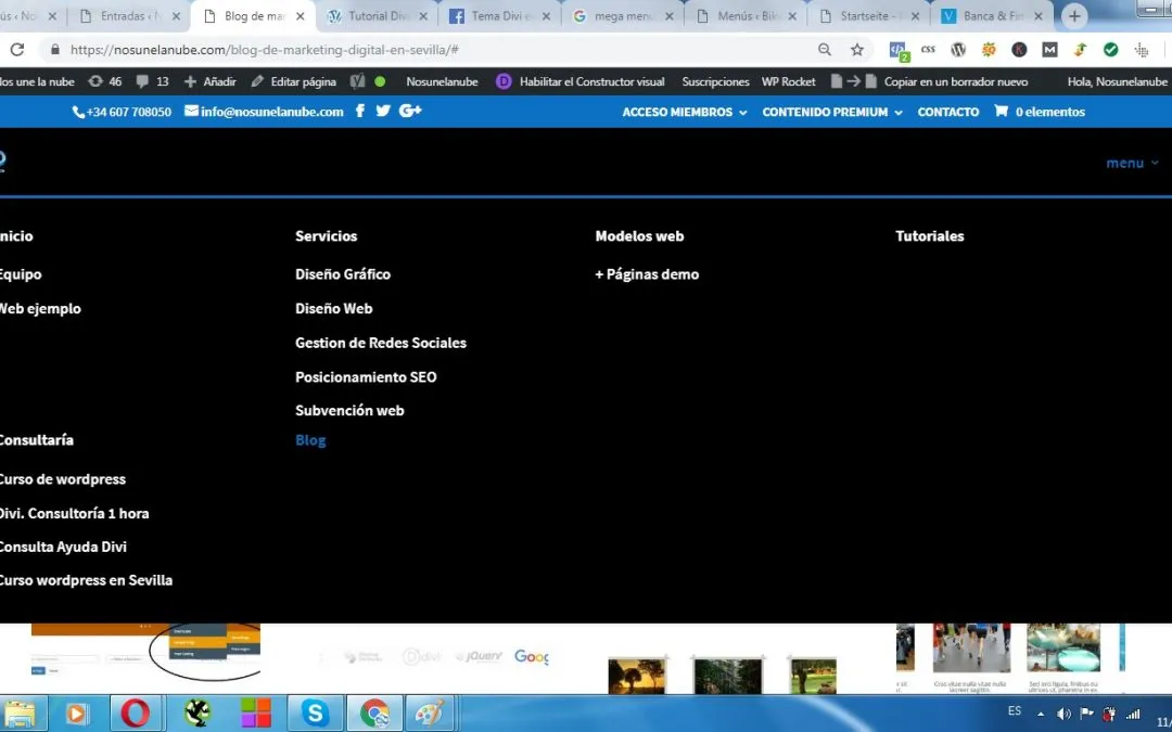 Mega Menu en Divi theme