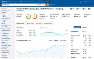 posicionamiento web SEO