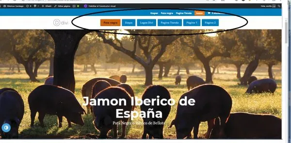 Botones en el Menu de Divi