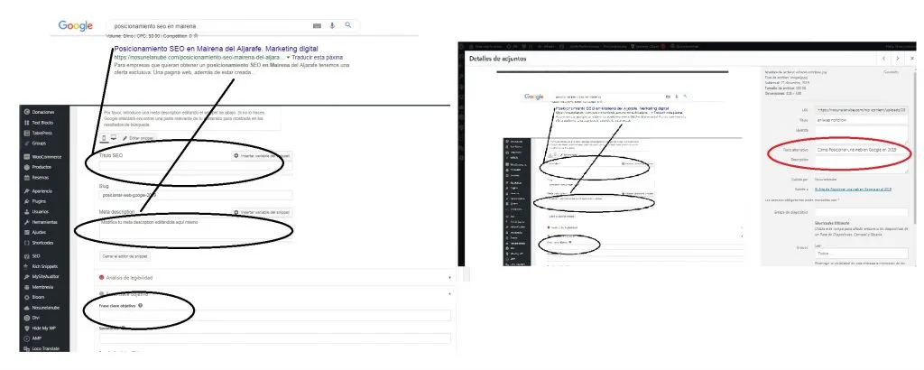 posicionar web en google 2019