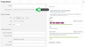 Optimizar imagenes para SEO