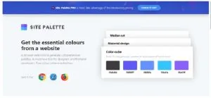 extensiones chrome Site Palette