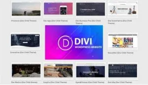 Curso Divi Theme
