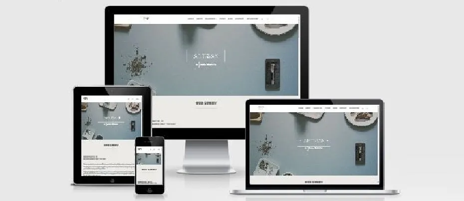 6 mejores themes para crear una tienda online con Divi
