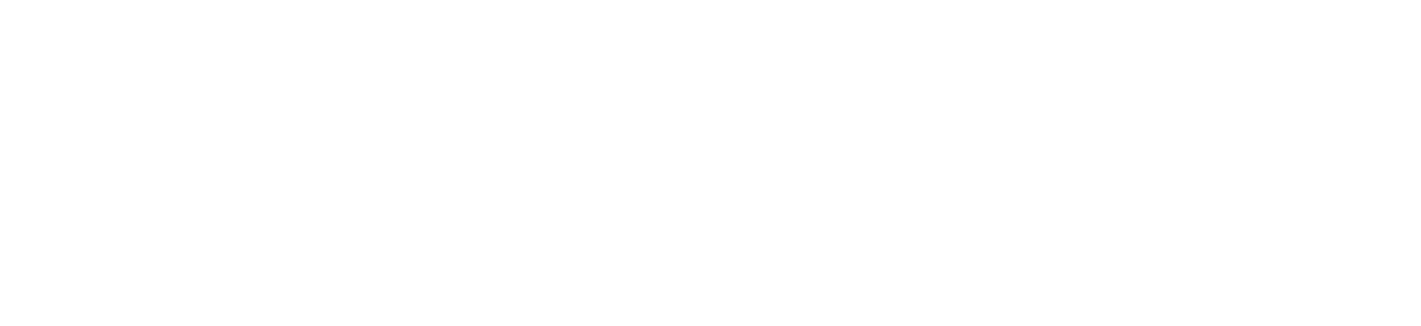 diseño web wordpress