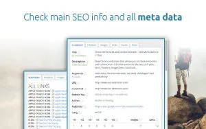 seo meta extension